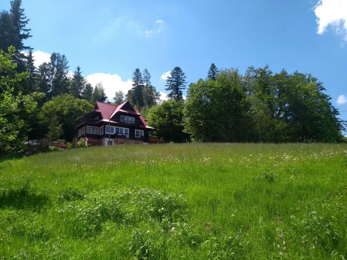 Willa Wislok Wisła Buitenkant foto